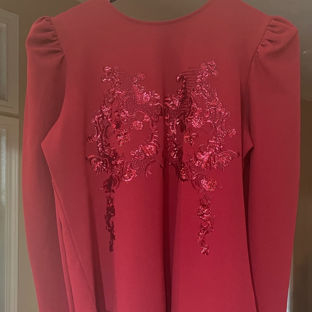 Red Blouse